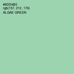 #9DD4B0 - Algae Green Color Image